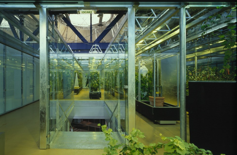The Great Greenhouse