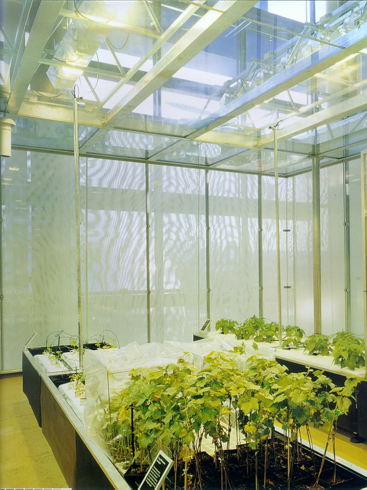 The Great Greenhouse