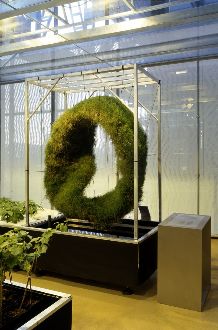 The Great Greenhouse