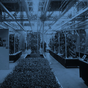 The Great Greenhouse – Cité des sciences et de l’industrie, Paris